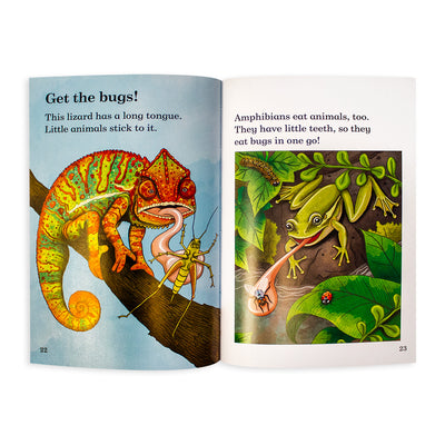 Reptiles And Amphibians Reader