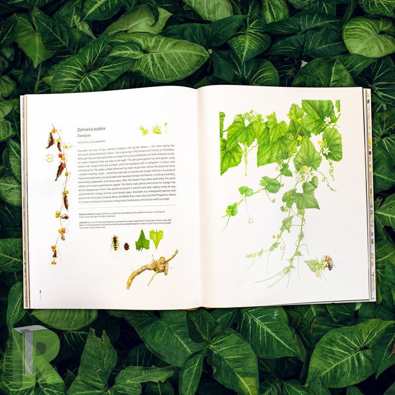 The Grootbos Florilegium