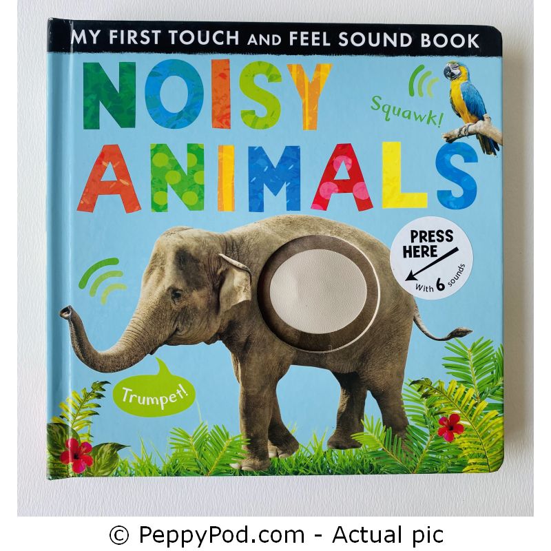 Noisy Animals: Includes Six Sounds!