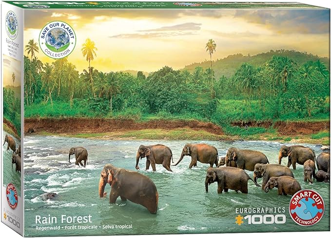 Rainforest 1000 Piece Puzzle Box Set - Readers Warehouse