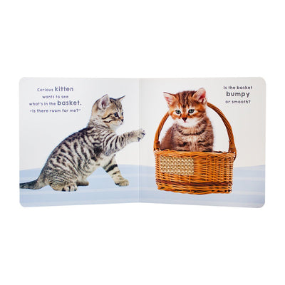 Touch & Feel - Kitten And Friends - Readers Warehouse