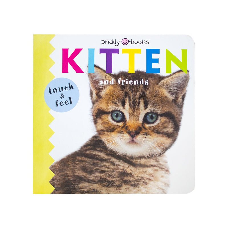 Touch & Feel - Kitten And Friends - Readers Warehouse