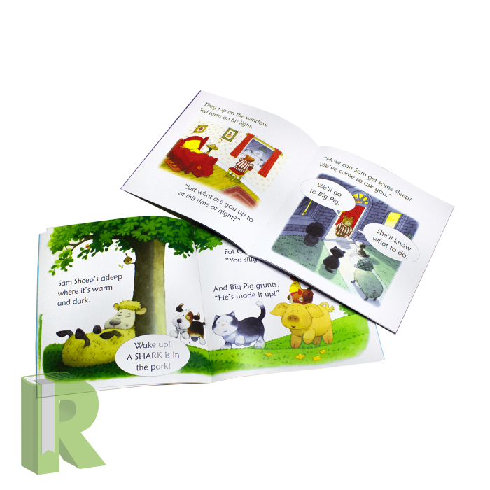 Usborne Phonics Readers Box-Set - Readers Warehouse